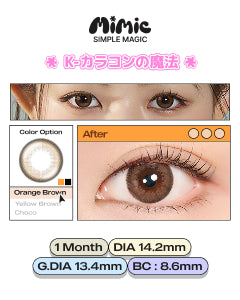 Fuzzy Orange Brown/YellowBrown/Choco 1ヶ月