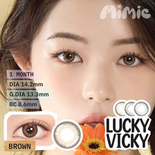 LuckyVicky Brown/Gray/Choco 1ヶ月